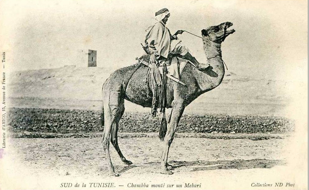 South tunis tuareg